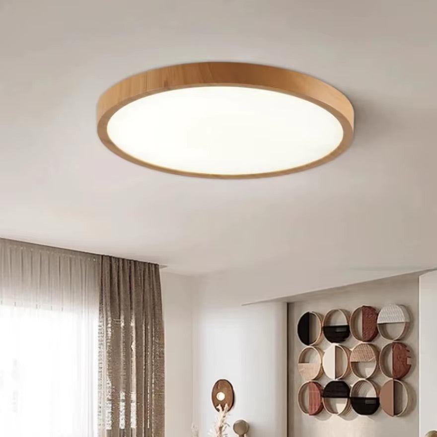 Circular Low Profile Modern LED Ceiling Light
