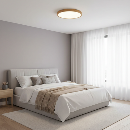 Circular Low Profile Modern LED Ceiling Light