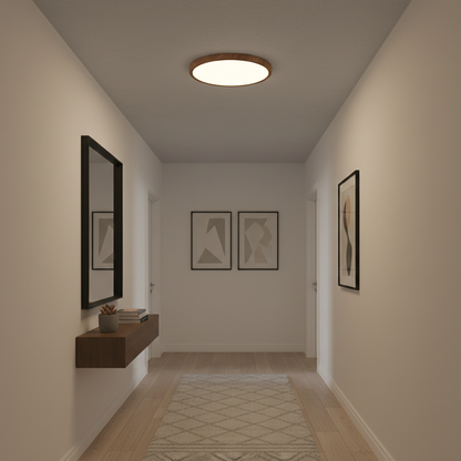 Circular Low Profile Modern LED Ceiling Light